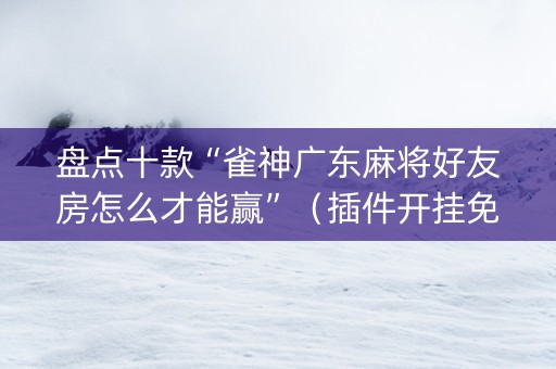 盘点十款“雀神广东麻将好友房怎么才能赢”（插件开挂免费AI)