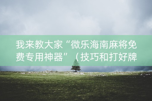 我来教大家“微乐海南麻将免费专用神器”（技巧和打好牌方法)