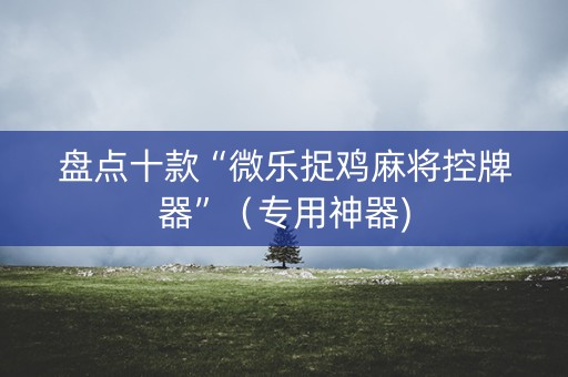 盘点十款“微乐捉鸡麻将控牌器”（专用神器)