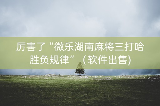 厉害了“微乐湖南麻将三打哈胜负规律”（软件出售)