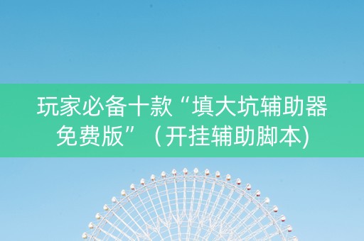 玩家必备十款“填大坑辅助器免费版”（开挂辅助脚本)