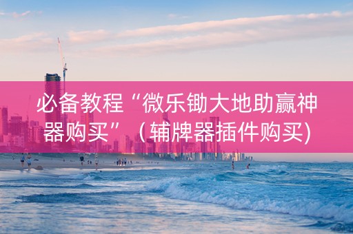 必备教程“微乐锄大地助赢神器购买”（辅牌器插件购买)