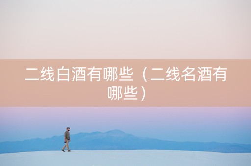 二线白酒有哪些（二线名酒有哪些）