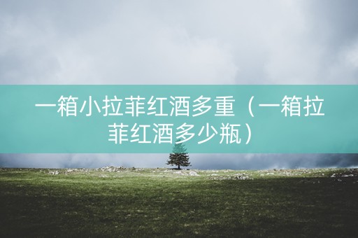 一箱小拉菲红酒多重（一箱拉菲红酒多少瓶）
