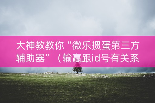 大神教教你“微乐掼蛋第三方辅助器”（输赢跟id号有关系吗)
