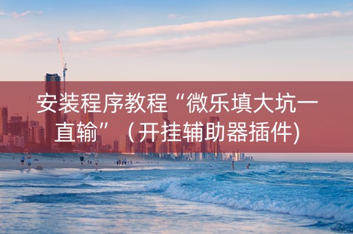 安装程序教程“微乐填大坑一直输”（开挂辅助器插件)