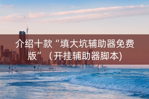 介绍十款“填大坑辅助器免费版”（开挂辅助器脚本)
