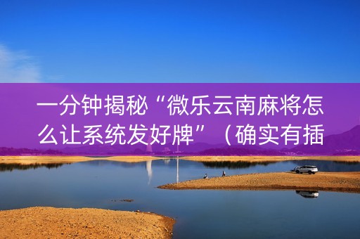 一分钟揭秘“微乐云南麻将怎么让系统发好牌”（确实有插件吗)