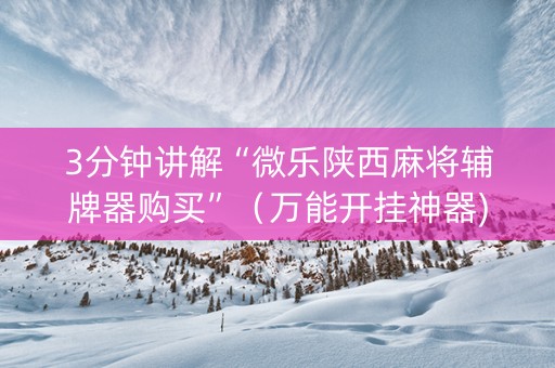 3分钟讲解“微乐陕西麻将辅牌器购买”（万能开挂神器)