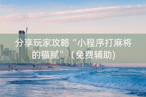 分享玩家攻略“小程序打麻将的猫腻”（免费辅助)