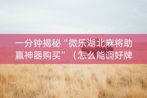 一分钟揭秘“微乐湖北麻将助赢神器购买”（怎么能调好牌)