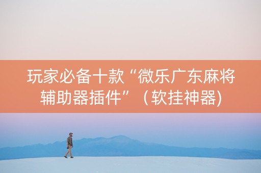 玩家必备十款“微乐广东麻将辅助器插件”（软挂神器)
