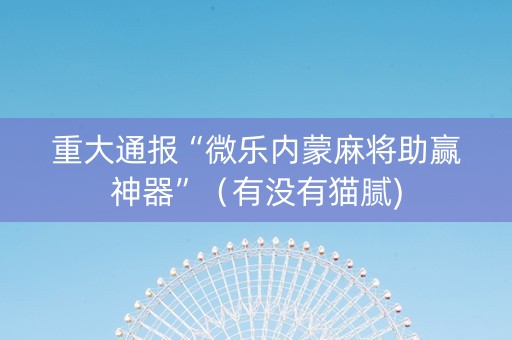 重大通报“微乐内蒙麻将助赢神器”（有没有猫腻)
