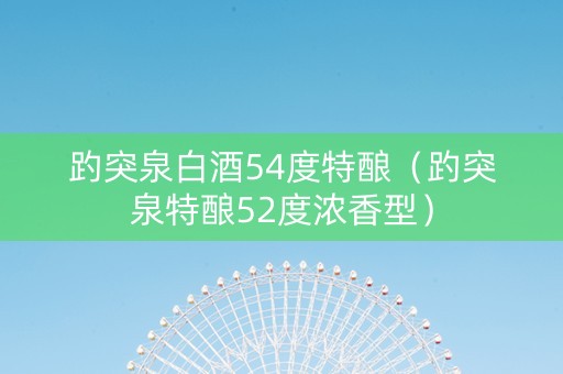 趵突泉白酒54度特酿（趵突泉特酿52度浓香型）