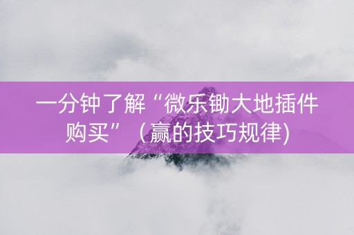 一分钟了解“微乐锄大地插件购买”（赢的技巧规律)