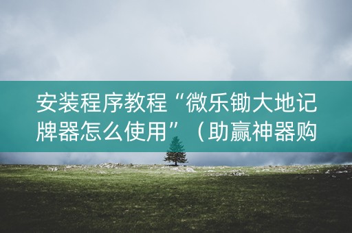 安装程序教程“微乐锄大地记牌器怎么使用”（助赢神器购买)