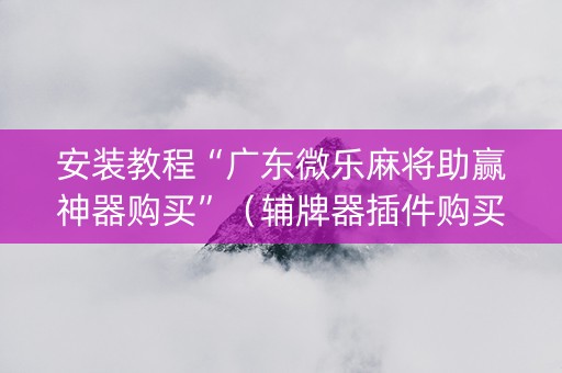 安装教程“广东微乐麻将助赢神器购买”（辅牌器插件购买)