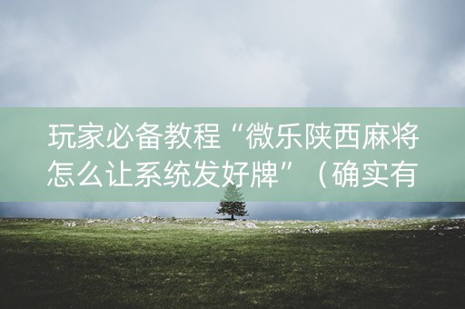 玩家必备教程“微乐陕西麻将怎么让系统发好牌”（确实有插件吗)