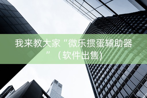 我来教大家“微乐掼蛋辅助器”（软件出售)