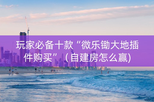 玩家必备十款“微乐锄大地插件购买”（自建房怎么赢)