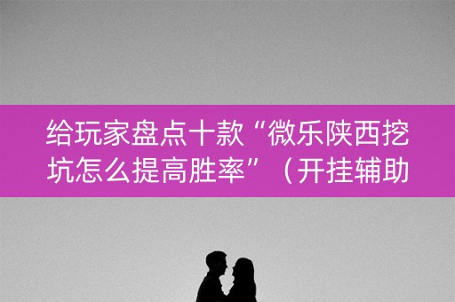 给玩家盘点十款“微乐陕西挖坑怎么提高胜率”（开挂辅助脚本)