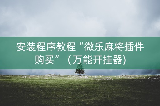 安装程序教程“微乐麻将插件购买”（万能开挂器)