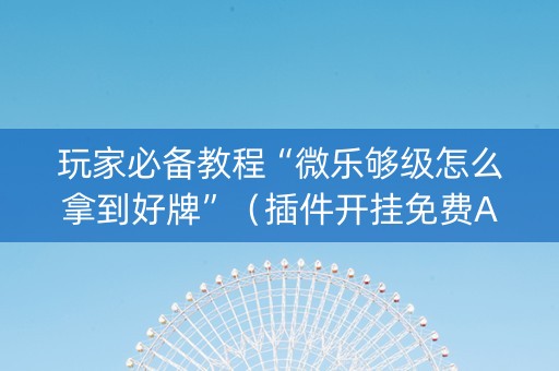 玩家必备教程“微乐够级怎么拿到好牌”（插件开挂免费AI)
