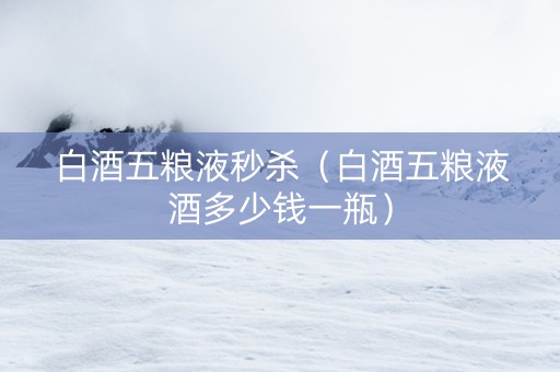 白酒五粮液秒杀（白酒五粮液酒多少钱一瓶）