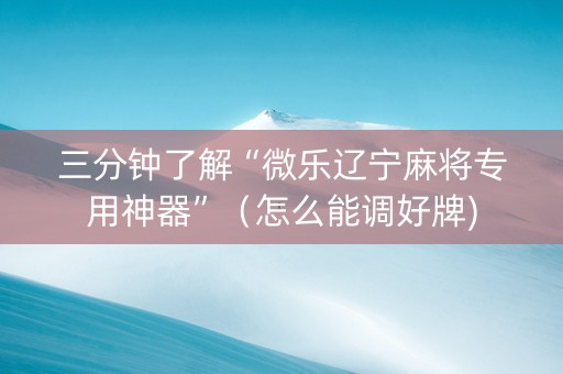 三分钟了解“微乐辽宁麻将专用神器”（怎么能调好牌)