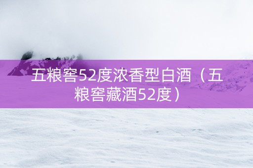 五粮窖52度浓香型白酒（五粮窖藏酒52度）