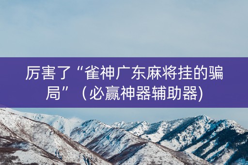 厉害了“雀神广东麻将挂的骗局”（必赢神器辅助器)