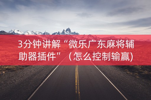 3分钟讲解“微乐广东麻将辅助器插件”（怎么控制输赢)