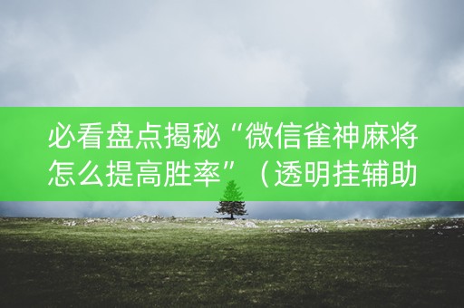 必看盘点揭秘“微信雀神麻将怎么提高胜率”（透明挂辅助器)