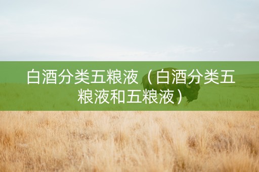 白酒分类五粮液（白酒分类五粮液和五粮液）