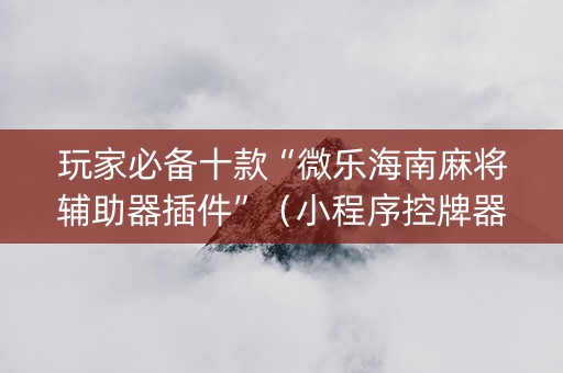 玩家必备十款“微乐海南麻将辅助器插件”（小程序控牌器)