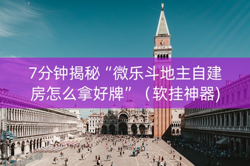 7分钟揭秘“微乐斗地主自建房怎么拿好牌”（软挂神器)