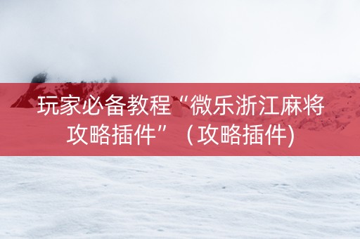 玩家必备教程“微乐浙江麻将攻略插件”（攻略插件)