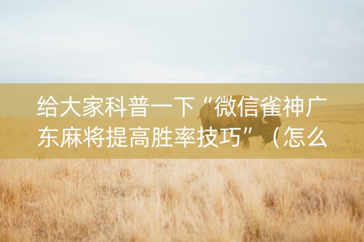 给大家科普一下“微信雀神广东麻将提高胜率技巧”（怎么增加胜率)