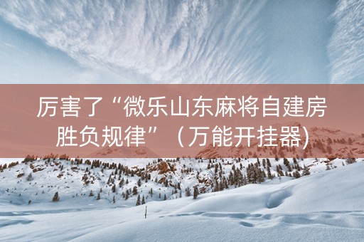厉害了“微乐山东麻将自建房胜负规律”（万能开挂器)