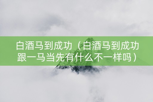 白酒马到成功（白酒马到成功跟一马当先有什么不一样吗）