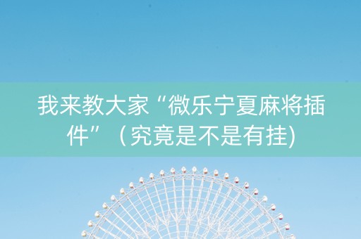 我来教大家“微乐宁夏麻将插件”（究竟是不是有挂)