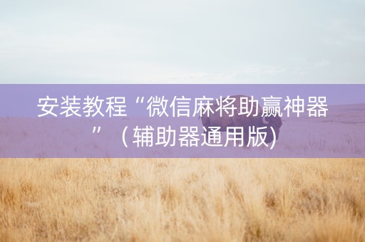 安装教程“微信麻将助赢神器”（辅助器通用版)