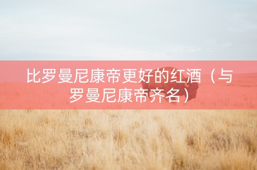 比罗曼尼康帝更好的红酒（与罗曼尼康帝齐名）