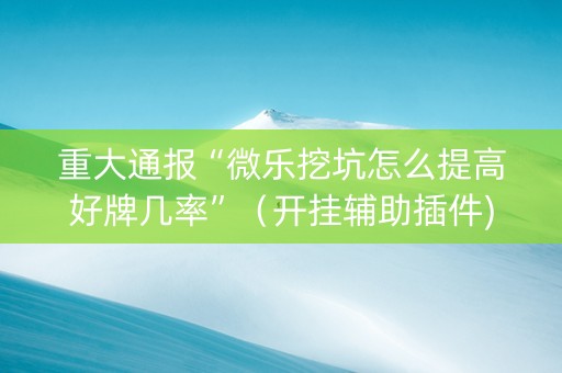 重大通报“微乐挖坑怎么提高好牌几率”（开挂辅助插件)