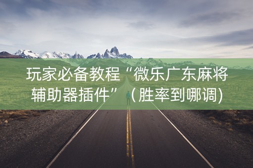 玩家必备教程“微乐广东麻将辅助器插件”（胜率到哪调)