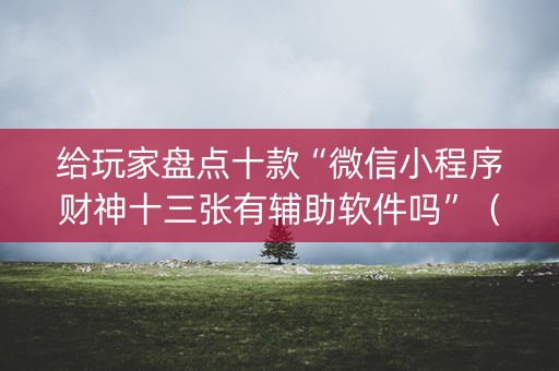 给玩家盘点十款“微信小程序财神十三张有辅助软件吗”（控牌神器)