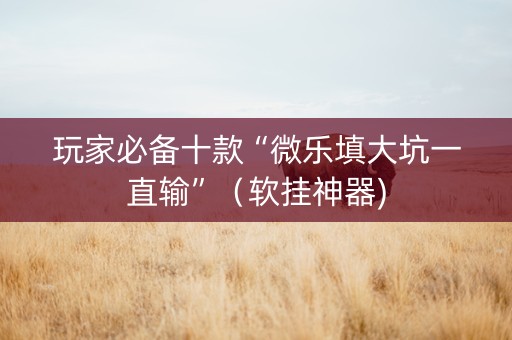 玩家必备十款“微乐填大坑一直输”（软挂神器)
