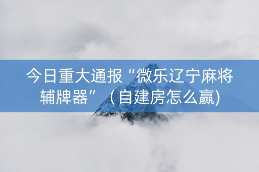 今日重大通报“微乐辽宁麻将辅牌器”（自建房怎么赢)