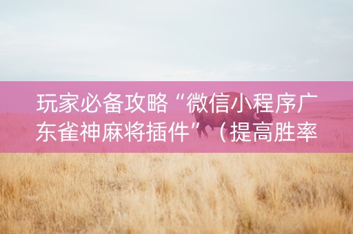 玩家必备攻略“微信小程序广东雀神麻将插件”（提高胜率软件)