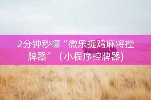 2分钟秒懂“微乐捉鸡麻将控牌器”（小程序控牌器)